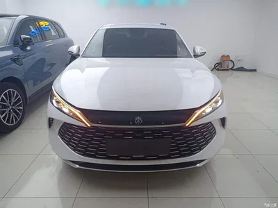 2024 BYD Qin L DM-i 80KM Leading Edition, фото 3, лот 10259760