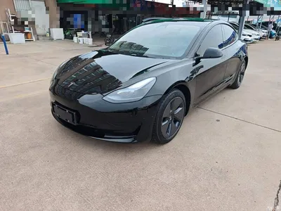 2022 Tesla Model 3 Model Rear-Wheel Drive Version, фото 1, лот 10387301
