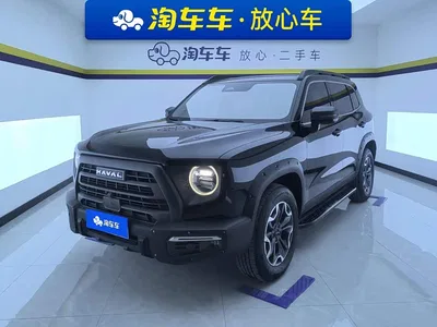 2024 Haval Big Dog 2.0T DCT Chinese Rural Dog Edition, фото 1, лот 10397106