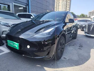 2023 Tesla Model Y Rear-Wheel Drive Edition, фото 1, лот 11215659