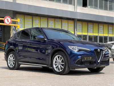 2017 Alfa Romeo Stelvio 2.0T 200HP Elite, фото 3, лот 10239824