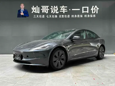 2023 Tesla Model 3 Rear-Wheel Drive, фото 1, лот 11344050