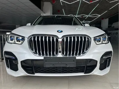 2022 BMW X5 Facelift xDrive 30Li Premium M Sport Package, фото 4, лот 10236699