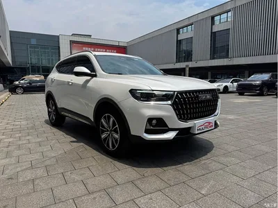 2023 Haval H6 National Trend Edition 1.5T Automatic Champion, фото 3, лот 10283561