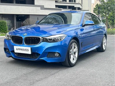 2019 BMW 3 Series GT 320i M Sport Model, фото 1, лот 10473309