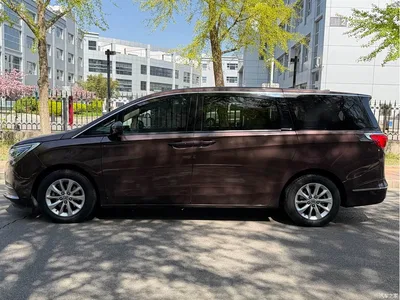 2017 Buick GL8 ES 28T Premium China V, фото 4, лот 10251725