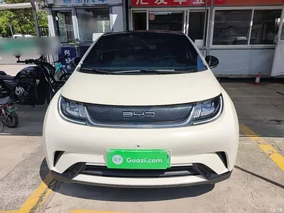 2023 BYD Dolphin 420km Fashion Edition, фото 3, лот 10263709