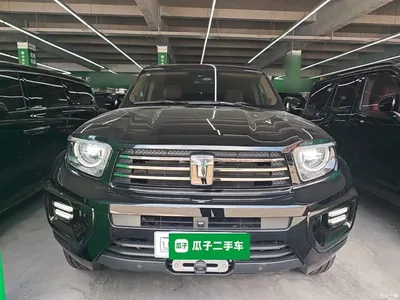 2024 Tank 700 New Energy Hi4-T Extreme Edition, фото 3, лот 10345489