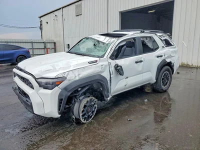 2025 TOYOTA 4RUNNER TRD OFF-ROAD PREMIUM HV, фото 1, лот 10519005
