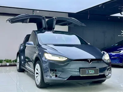 2019 Tesla Model X Long Range Version, фото 3, лот 10688996