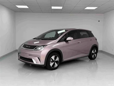 2023 BYD Dolphin 420km Freedom Edition, фото 1, лот 10396060