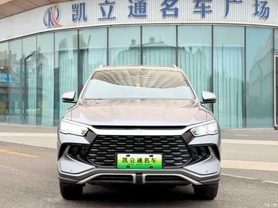 2024 BYD Song Pro New Energy Glory Edition DM-i 71KM Pilot, фото 2, лот 10274627
