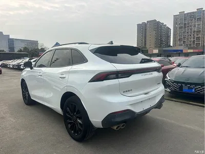 2021 Dongfeng Fengxing T5 EVO 1.5TD DCT Platinum Edition, фото 4, лот 11160709