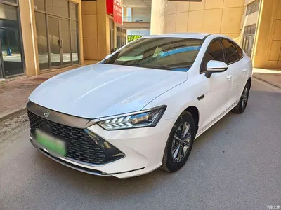 2023 BYD Qin PLUS Champion Edition DM-i 55KM Leading, фото 1, лот 10364282