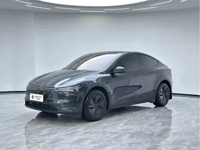 2025 Tesla Model Y Rear-Wheel Drive, фото 1, лот 10435049