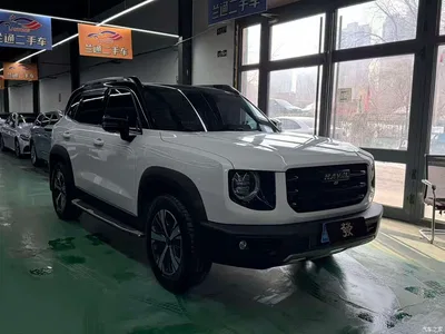 2021 Haval Big Dog 1.5T DCT 2WD Labrador Edition, фото 2, лот 10361685