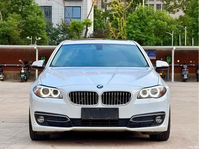 2017 BMW 5 Series 525Li Luxury Design Package, фото 2, лот 10599542