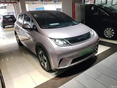 2021 BYD Dolphin Model 405km Fashion Edition, фото 4, лот 11179008