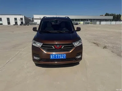 2019 Wuling Motors Wuling Hongguang 1.5L S Standard China VI LAR, фото 1, лот 11571399