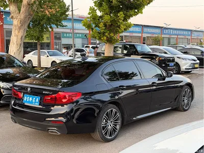 2019 BMW 5 Series 530Li Leading M Sport Package, фото 4, лот 10482634
