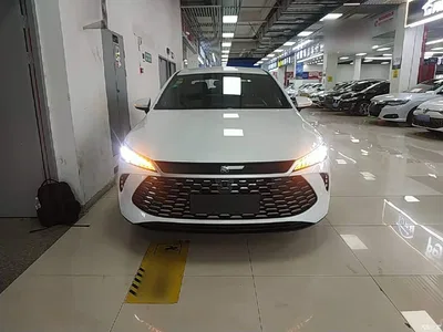 2025 BYD Qin PLUS DM-i Smart Drive 55KM Leader, фото 3, лот 11211827