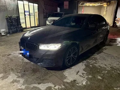 2021 BMW 5 Series 530Li Leading M Sport Package, фото 1, лот 11415163