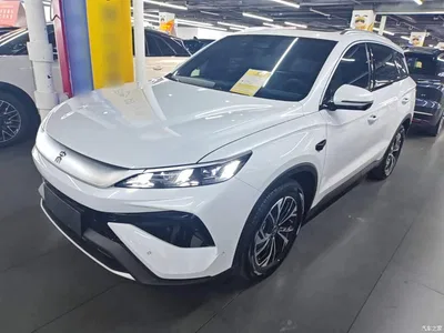 2025 BYD Song Pro New Energy 2nd Generation Smart Drive Edition DM-i 115KM Surpassing Type, фото 2, лот 10272578