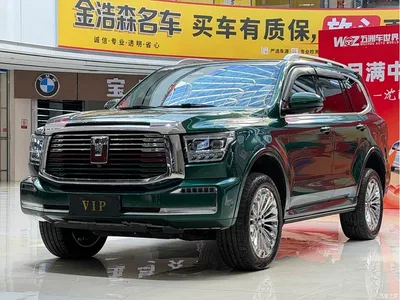2022 Tank 500 3.0T Business Edition Zaojing 5-Seater, фото 3, лот 11570384