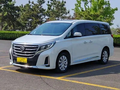 2020 GAC Trumpchi Trumpchi M8 Pilot 390T Premium Edition, фото 1, лот 10417701