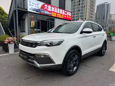 2017 Leopaard CS10 2.0T Manual Fashion, фото 3, лот 11646034