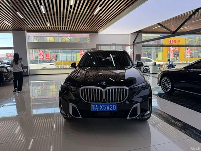 2023 BMW X5 xDrive 30Li Premium M Sport Package, фото 2, лот 10445510