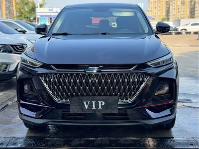 2022 Changan Oshan X7 PLUS 1.5T Blue Whale Edition Auto Luxury, фото 2, лот 10407989
