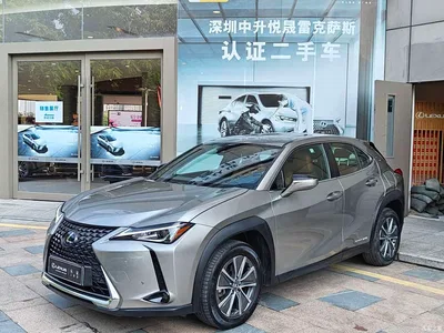 2020 Lexus UX Electric 300e Pure Yue Edition, фото 1, лот 10404520