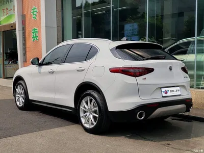 2017 Alfa Romeo Stelvio 2.0T 200HP Luxury Edition, фото 4, лот 10239834