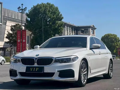 2020 BMW 5 Series 525Li M Sport Package, фото 1, лот 11564678