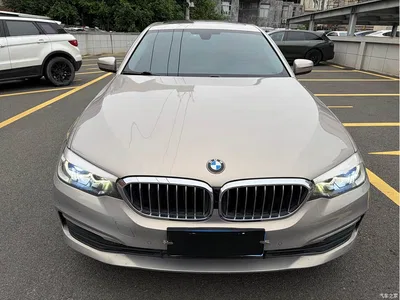 2018 BMW 5 Series 528Li Launch Special Edition, фото 2, лот 10444745