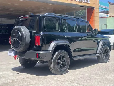 2024 Tank 300 Model 2.0T Challenger, фото 4, лот 10343982