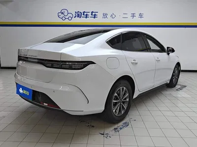 2024 BYD Destroyer 05 Glory Edition DM-i 55KM Luxury, фото 3, лот 10247092