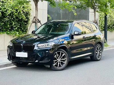 2023 BMW X3 xDrive30i Leading M Night Package, фото 1, лот 10237890