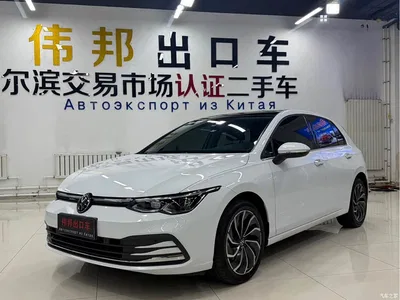 2023 Volkswagen Golf Facelift 280TSI DSG Pro, фото 1, лот 10449573