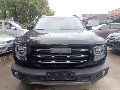 2022 Haval Big Dog 2.0T DCT AWD Chinese Pastoral Dog Edition, фото 3, лот 10671652