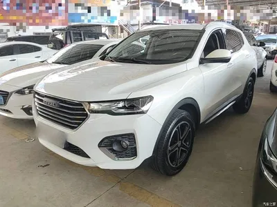 2020 Haval H4 Enjoy Edition 1.5T DCT Smart, фото 2, лот 10928931