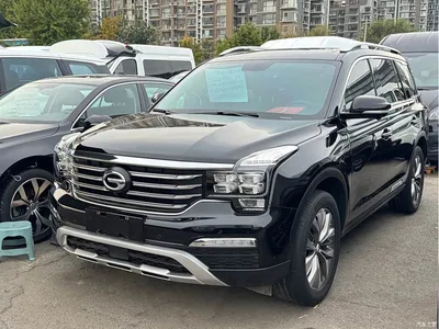 2017 GAC Trumpchi Trumpchi GS8 320T 2WD Luxury Smart Connect (7-seater), фото 1, лот 11174900