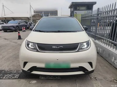 2025 BYD Dolphin 420km Fashion Edition, фото 3, лот 10259895
