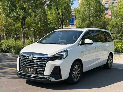 2023 Buick GL8 Land Business Class 652T Smart Luxury, фото 1, лот 10253529