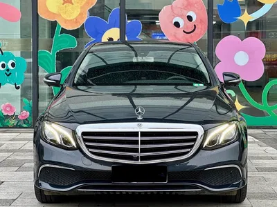 2018 Mercedes-Benz E-Class Facelift E 300 L Luxury, фото 2, лот 10266938