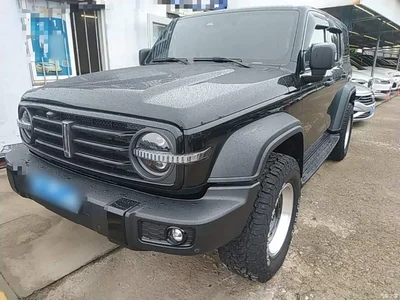 2021 Tank 300 Off-road Edition 2.0T Challenger, фото 2, лот 10347401
