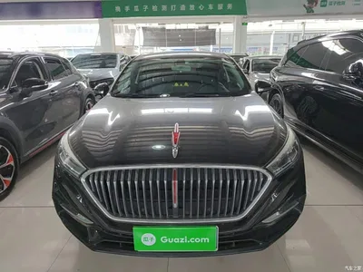 2022 Hongqi H5 Classic Facelift 1.5T DCT Flag Rhythm Edition, фото 3, лот 10598270