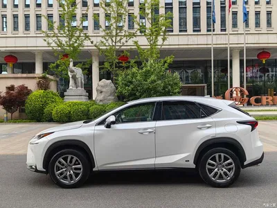 2015 Lexus NX 200t AWD F Sport, фото 4, лот 10316393