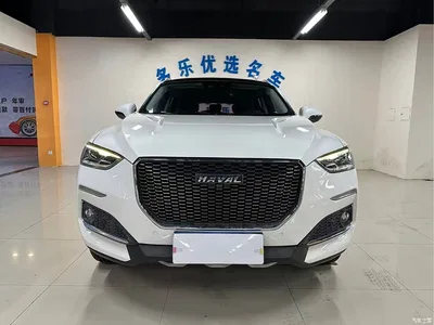 2019 Haval F5 National Trend Edition 1.5T iFashion China V, фото 2, лот 11096438